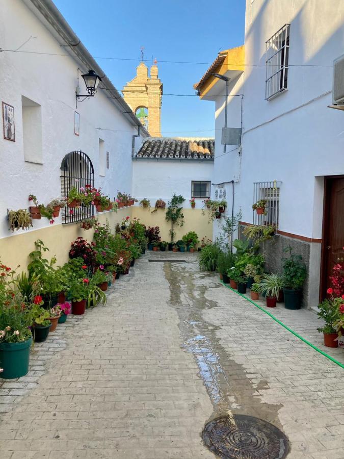 Apartamento Nuevo En Sierra Sur Sevilla Villanueva de San Juan Ngoại thất bức ảnh